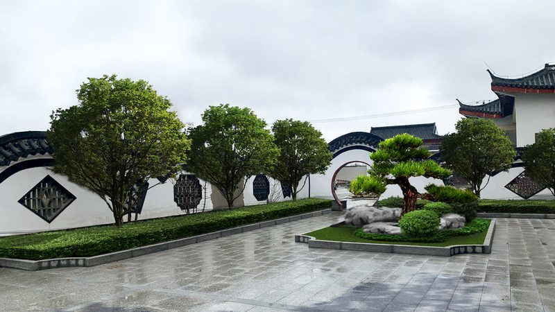 瓜子黄杨选购指南：合理搭配，打造完美绿化景观