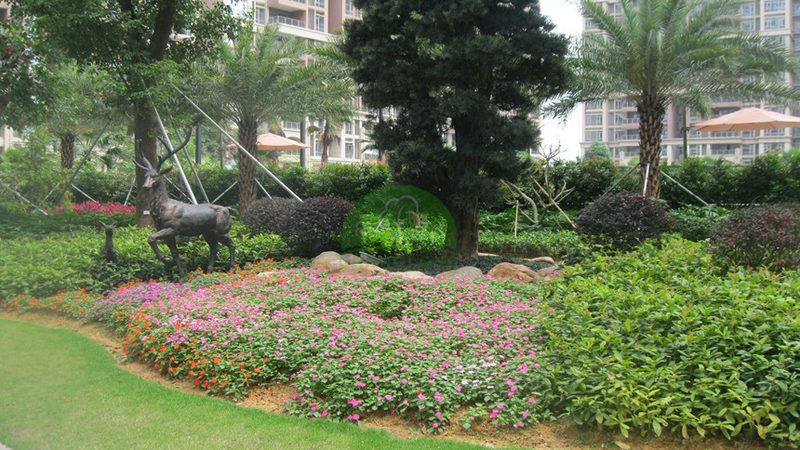 市政园林绿化养护管理：从细节出发，打造绿色生态**