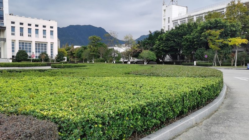 2024年绿化项目资金筹措策略：多元化融资渠道助力项目落地