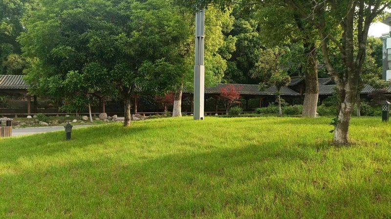 果岭草草坪养护加盟代理，揭秘其背后的生态奥秘**