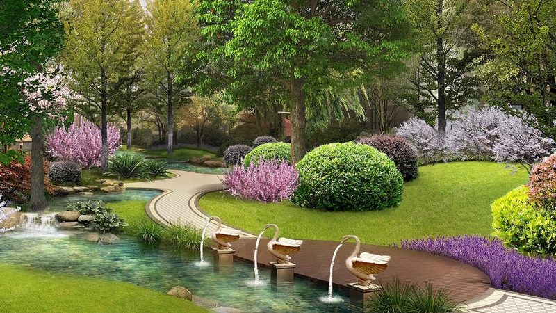 室内立体绿化植物选择：如何根据空间特性挑选合适种类